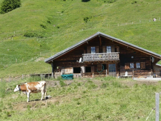 les-crosets-savolaire-morgins-136