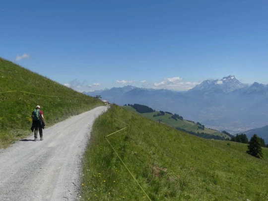 les-crosets-savolaire-morgins-145