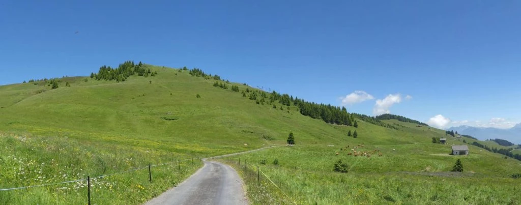 les-crosets-savolaire-morgins-148