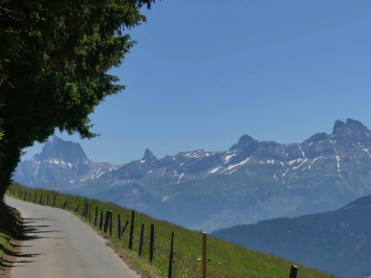 les-crosets-savolaire-morgins-159