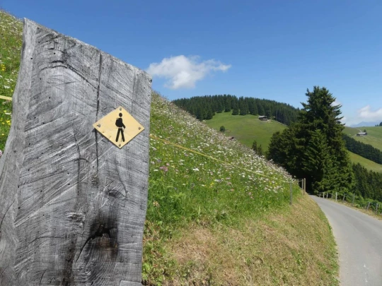 les-crosets-savolaire-morgins-163