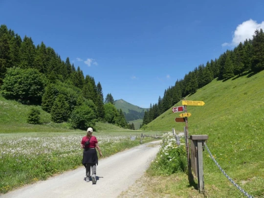 les-crosets-savolaire-morgins-167