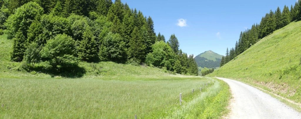 les-crosets-savolaire-morgins-168