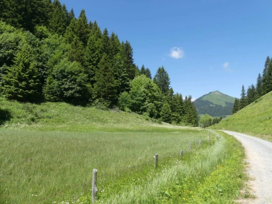 les-crosets-savolaire-morgins-169