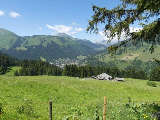 les-crosets-savolaire-morgins-172