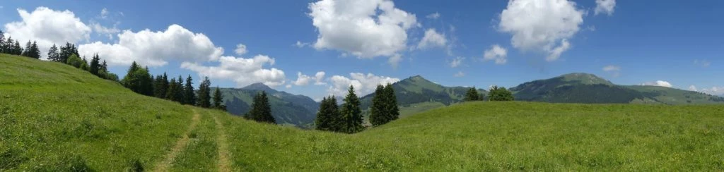 les-crosets-savolaire-morgins-179