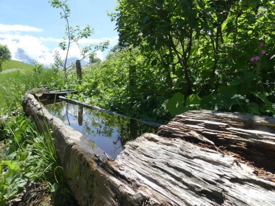 les-crosets-savolaire-morgins-185