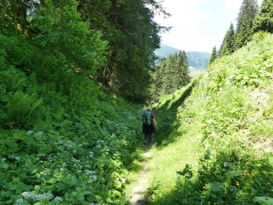 les-crosets-savolaire-morgins-187