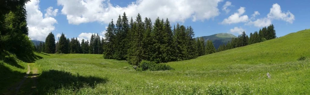 les-crosets-savolaire-morgins-189