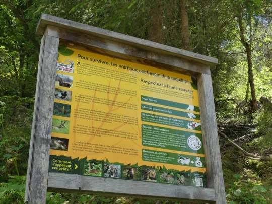 les-crosets-savolaire-morgins-200