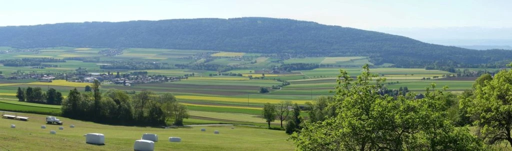 les-hauts-geneveys-bole-101