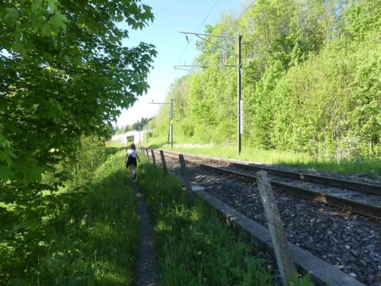 les-hauts-geneveys-bole-103