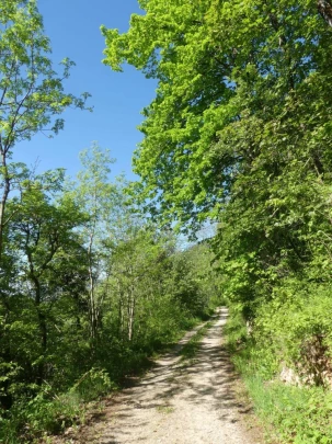 les-hauts-geneveys-bole-108