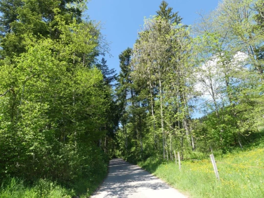 les-hauts-geneveys-bole-117