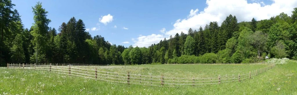 les-hauts-geneveys-bole-127