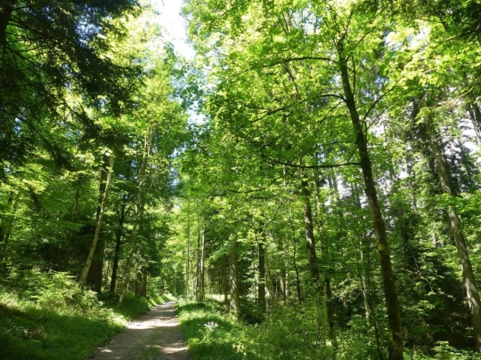 les-hauts-geneveys-bole-128