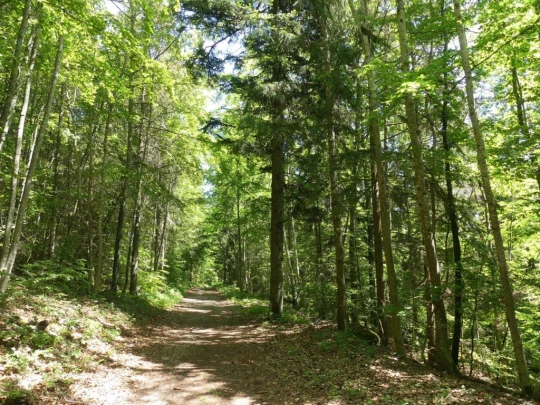 les-hauts-geneveys-bole-132