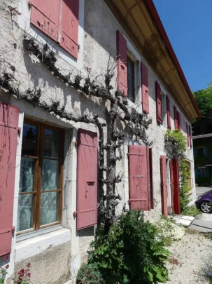 les-hauts-geneveys-bole-137