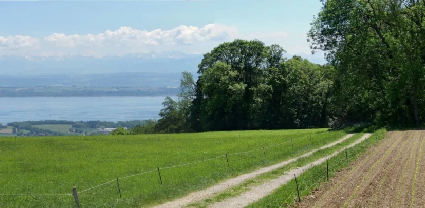 les-hauts-geneveys-bole-140