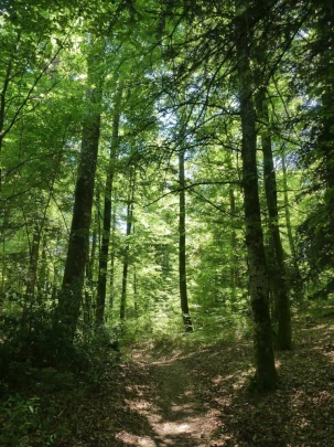 les-hauts-geneveys-bole-142