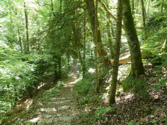 les-hauts-geneveys-bole-146