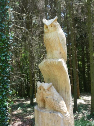 les-hauts-geneveys-bole-148