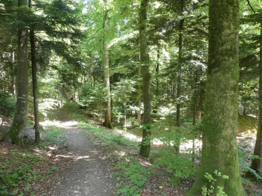 les-hauts-geneveys-bole-151