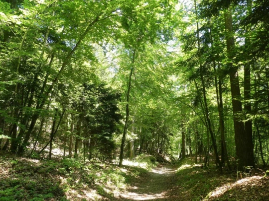 les-hauts-geneveys-bole-152