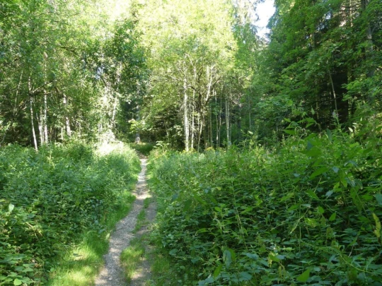 les-hauts-geneveys-la-sagne-101