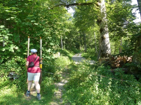 les-hauts-geneveys-la-sagne-106