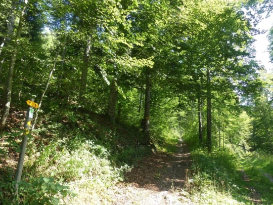 les-hauts-geneveys-la-sagne-110