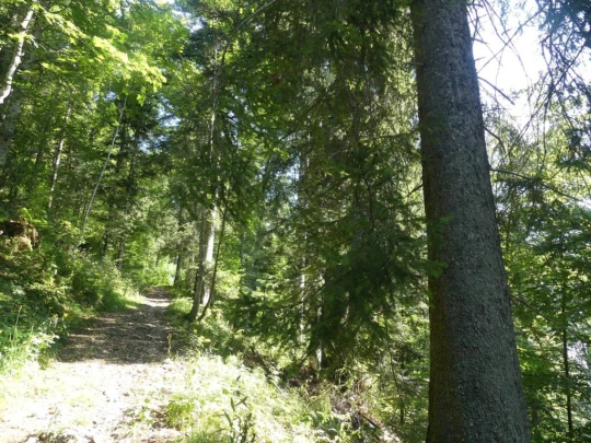les-hauts-geneveys-la-sagne-112