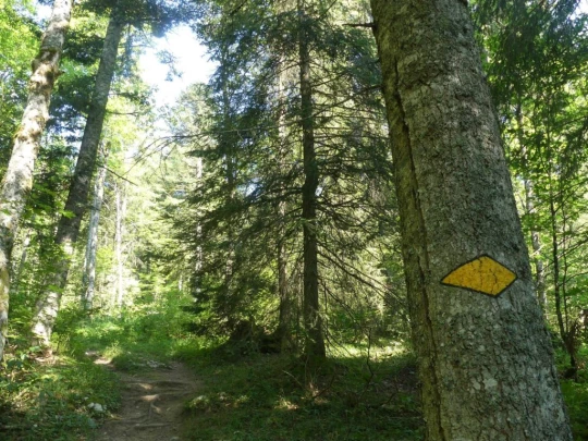 les-hauts-geneveys-la-sagne-115