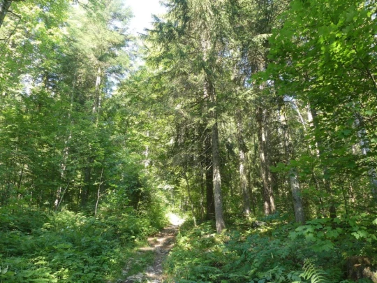 les-hauts-geneveys-la-sagne-116