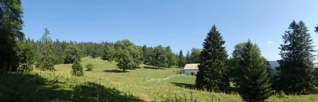 les-hauts-geneveys-la-sagne-117