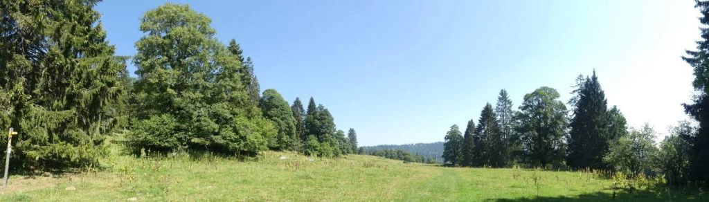 les-hauts-geneveys-la-sagne-120