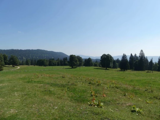 les-hauts-geneveys-la-sagne-122