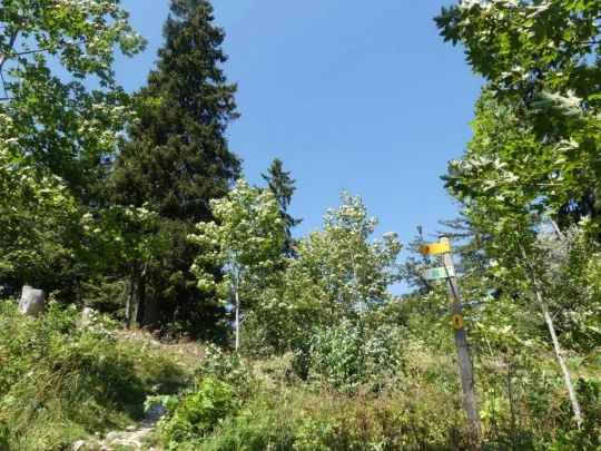 les-hauts-geneveys-la-sagne-135