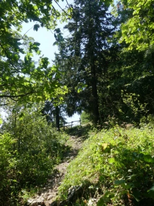 les-hauts-geneveys-la-sagne-136