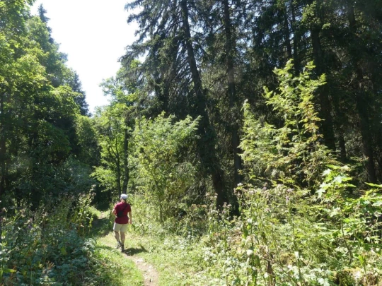 les-hauts-geneveys-la-sagne-142