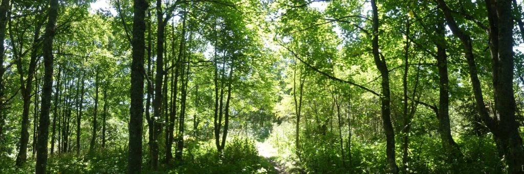 les-hauts-geneveys-la-sagne-145