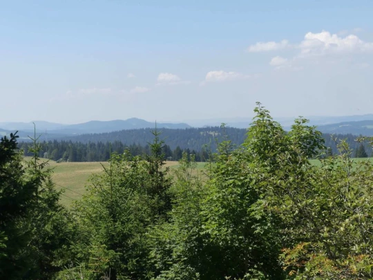 les-hauts-geneveys-la-sagne-146