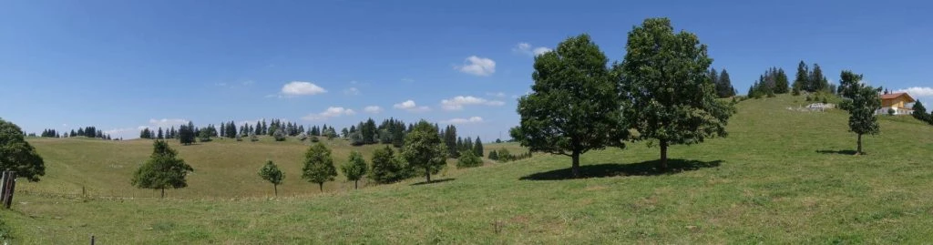 les-hauts-geneveys-la-sagne-149