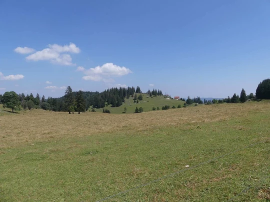 les-hauts-geneveys-la-sagne-154