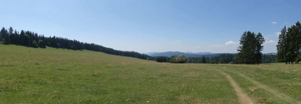 les-hauts-geneveys-la-sagne-157