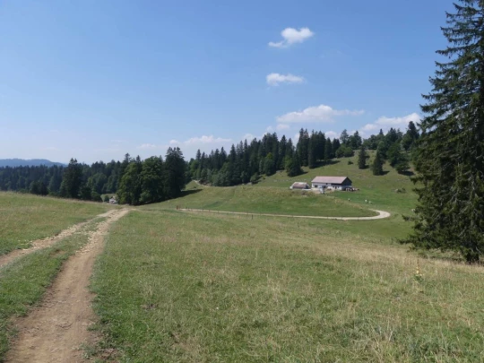les-hauts-geneveys-la-sagne-158