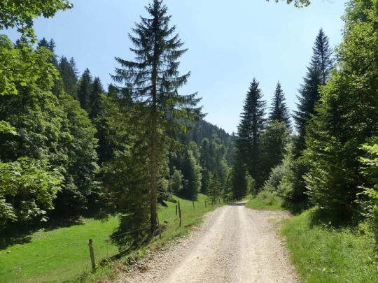 les-hauts-geneveys-la-sagne-161