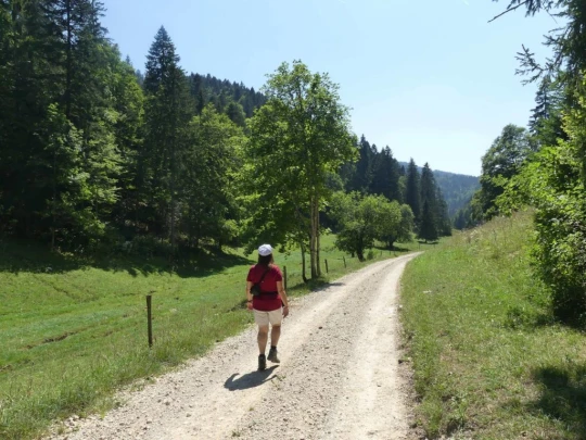 les-hauts-geneveys-la-sagne-163