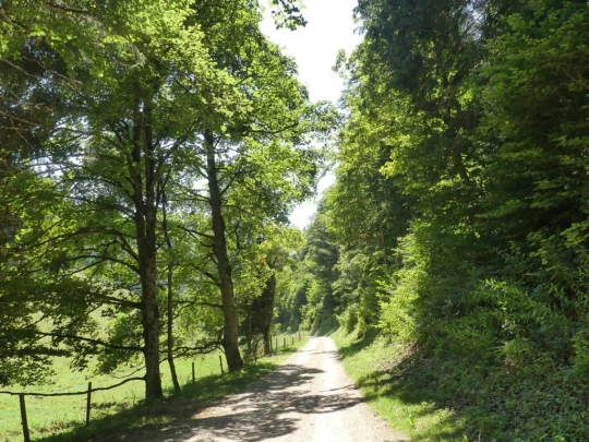 les-hauts-geneveys-la-sagne-164