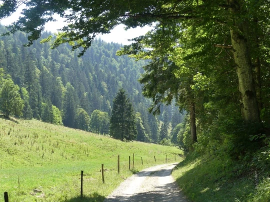 les-hauts-geneveys-la-sagne-165